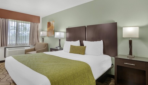 Standard Room, 1 King Bed, Accessible, Non Smoking