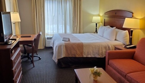 Suite, 1 King Bed with Sofa bed, Non Smoking