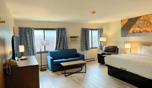 Business Room, 1 King Bed, Refrigerator