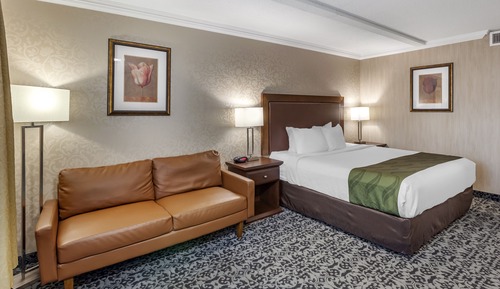 Room, 1 King Bed, Non Smoking