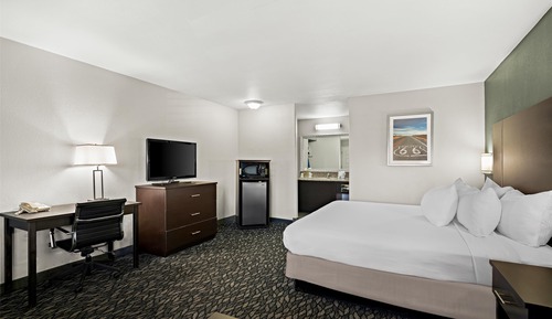 Standard Room, 1 King Bed, Non Smoking, Microwave (Larger Room)