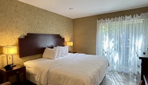 Accessible King Room - Courtyard View, Bath Tub