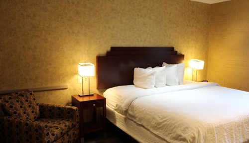 Pet-Friendly King Room - Near Bar, Non-Smoking