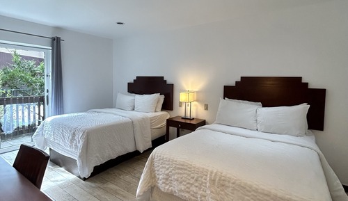 Pet-Friendly Double Room - Courtyard View
