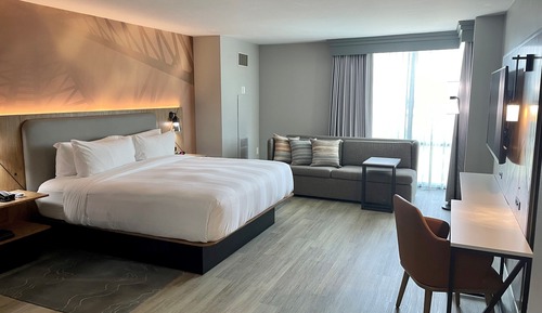 Room, 1 King Bed