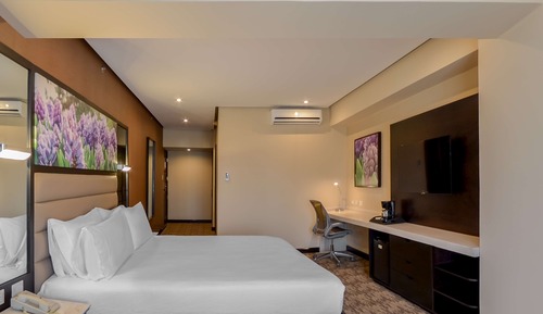 Junior Suite, 1 King Bed, City View