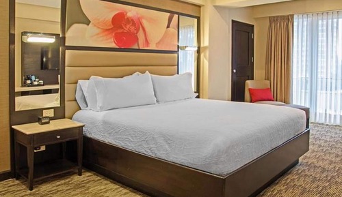 Junior Suite, 1 King Bed