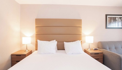 Standard Room, 1 King Bed with Sofa bed