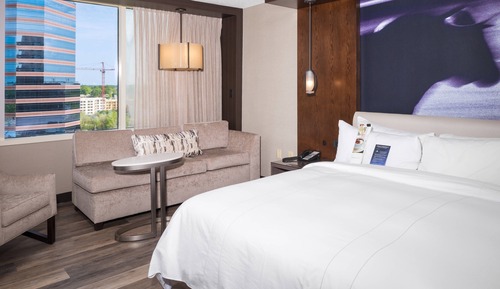 Room, 1 King Bed