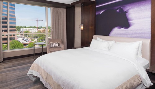 Room, 1 King Bed (Mobility Accessible, Roll-in Shower)