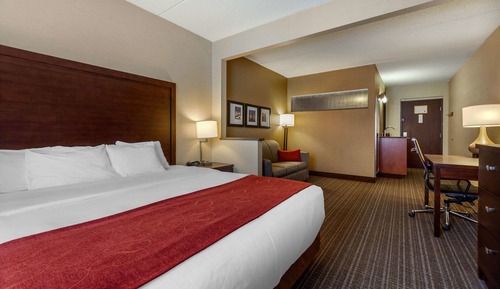 Suite, 1 King Bed with Sofa bed, Non Smoking (Rain shower)