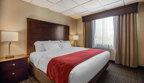 Suite, 1 King Bed with Sofa bed, Non Smoking