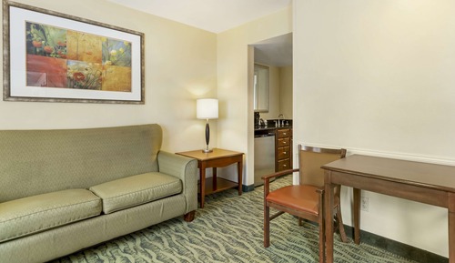 Suite, 1 King Bed, Non Smoking, Kitchenette (with Sofabed)