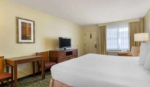 Standard Room, 1 King Bed, Non Smoking, Refrigerator & Microwave (1st Floor)