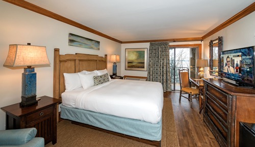 Room, 1 King Bed