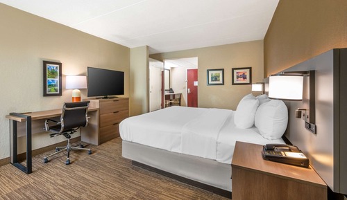 Suite, 1 King Bed with Sofa bed, Non Smoking