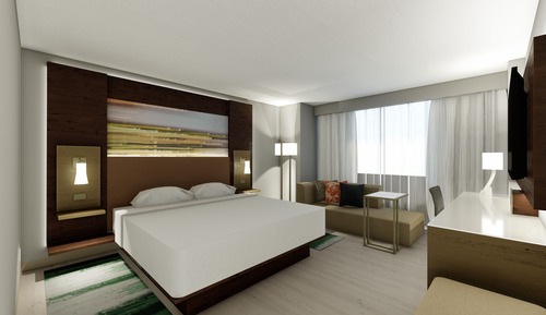 Room, 1 King Bed with Sofa bed