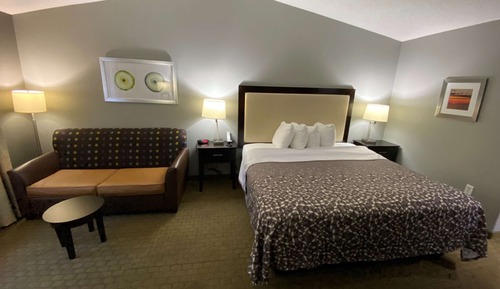 Standard Room, 1 King Bed with Sofa bed, Non Smoking, Refrigerator & Microwave (with Sofabed)