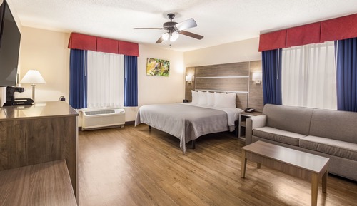 Premium Suite, 1 King Bed, Non Smoking