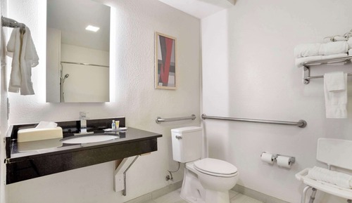 Room, 1 Double Bed, Accessible, Non Smoking