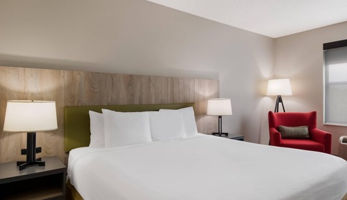 Room, 1 King Bed, Non Smoking