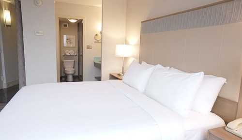 Standard Room, 1 King Bed, Non Smoking (Leisure)