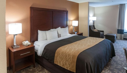 Standard Room, 1 King Bed, Non Smoking