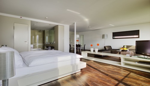 Lake View Deluxe Suite Room