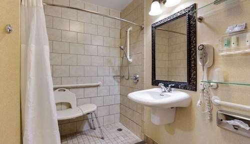 Room, 1 Queen Bed, Accessible, Non Smoking (Roll-In Shower)