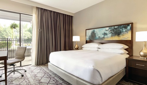 Room, 1 King Bed, Accessible, Non Smoking