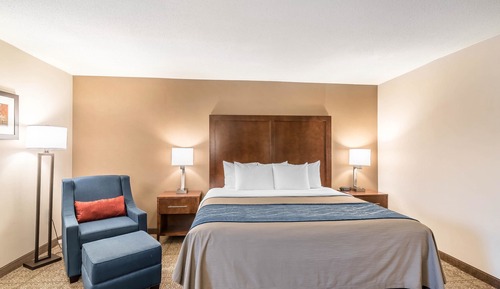 Standard Room, 1 King Bed, Non Smoking
