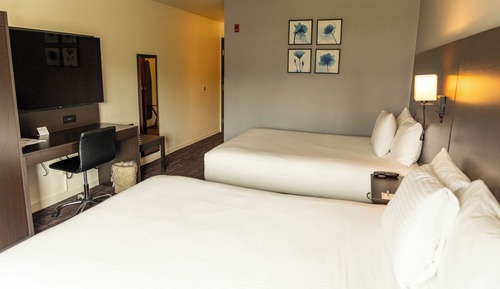 Traditional Room, 2 Queen Beds