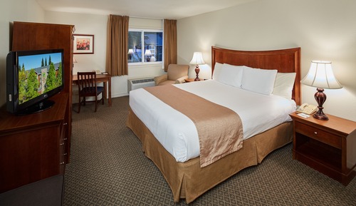 Traditional Room, 1 King Bed