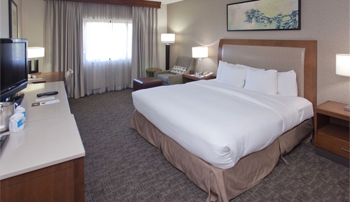 Room, 1 King Bed, Accessible, Non Smoking