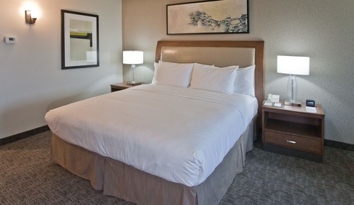 Room, 1 King Bed (Larger Room)