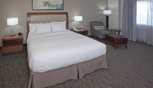 Room, 1 King Bed, Mobility/Hearing Access Roll-in Shower, Non Smoking