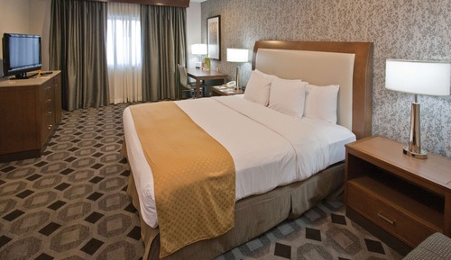 Room, 1 King Bed with Sofa bed