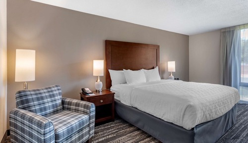 Room, 1 King Bed, Non Smoking