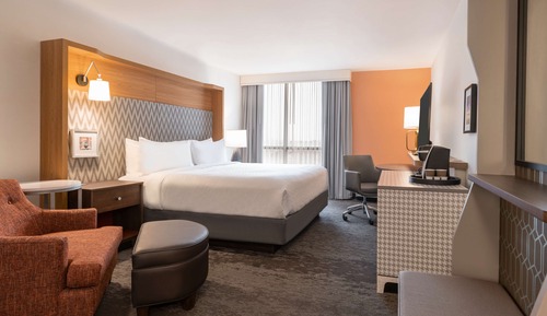 Room, 1 King Bed