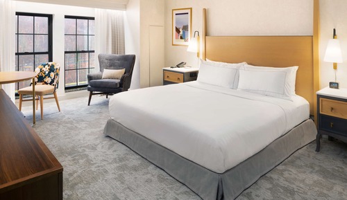 Room, 1 King Bed, Accessible (Mobility, Roll-In Shower)