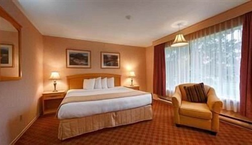 Executive Room, 1 King Bed with Sofa bed