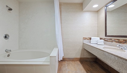 Premium Room, 1 King Bed with Sofa bed