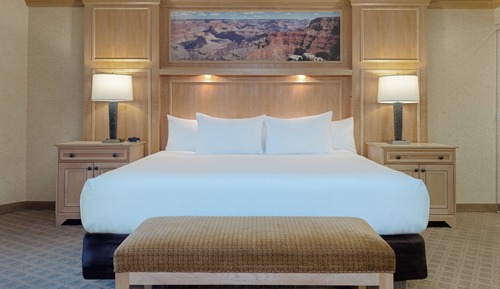 Suite, 1 King Bed with Sofa bed