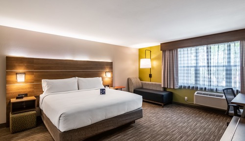 Standard Room, 1 King Bed, Accessible (Communications, Mobility)