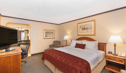 Suite, 1 King Bed, Non Smoking
