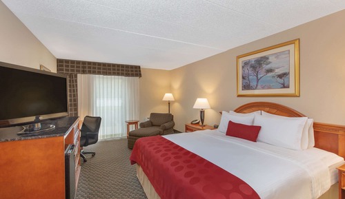Room, 1 King Bed, Non Smoking