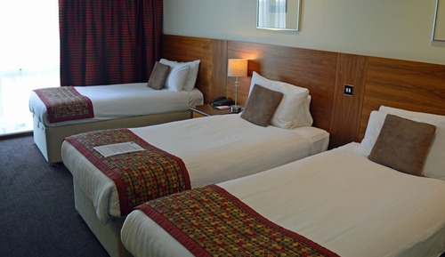 Standard Room, Multiple Beds, Non Smoking
