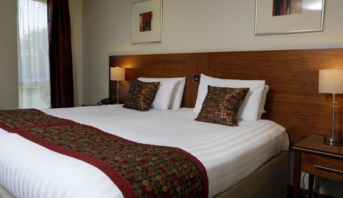 Superior Room, 1 King Bed, Non Smoking