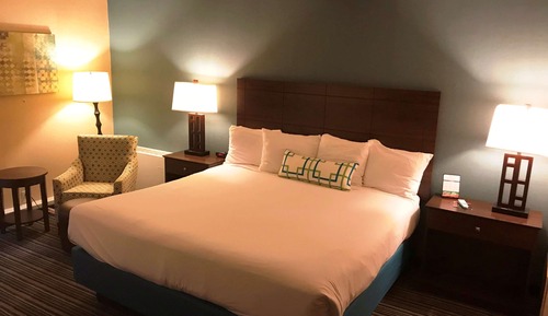 Suite, 1 King Bed, Non Smoking, Refrigerator (with Sofabed)