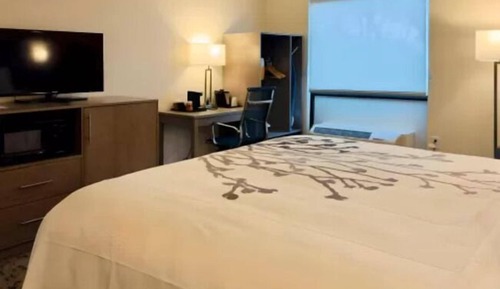 Standard Room, 1 King Bed, Non Smoking